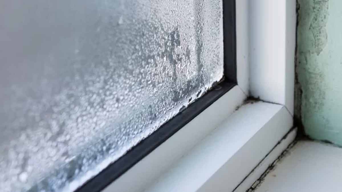 Kondenswasser Fenster