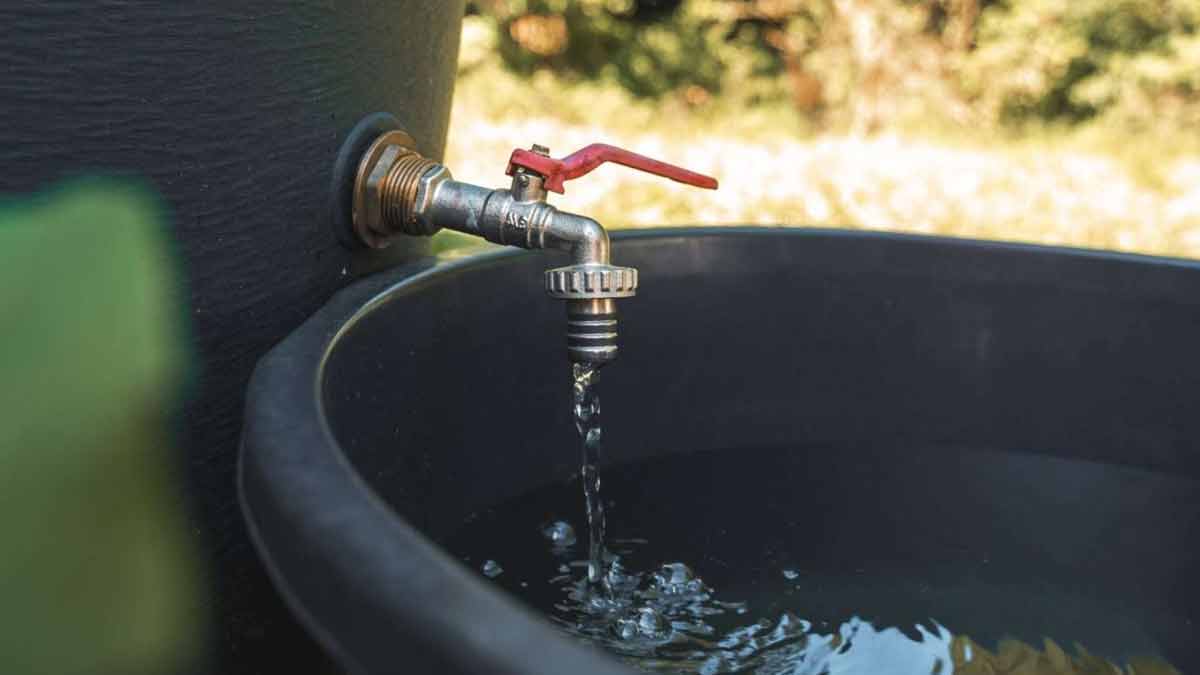 Regentonne Frostschäden