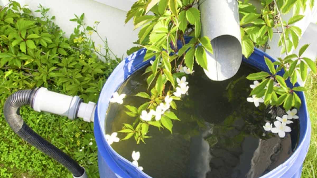 Regentonne vor Frostschäden