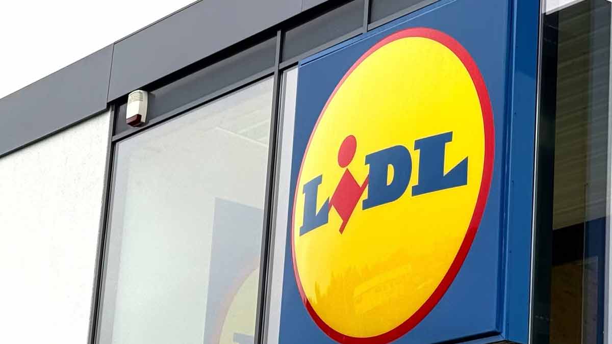 Weihnachtsbaums Lidl