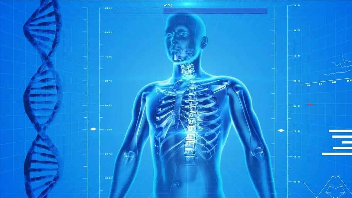 „Bundestag vollzieht doppelte Rolle rückwärts“